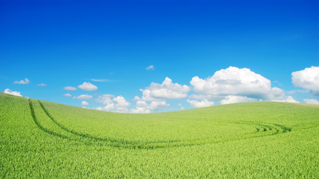 Beautiful Green Landscape Fhd Grass Wallpaper