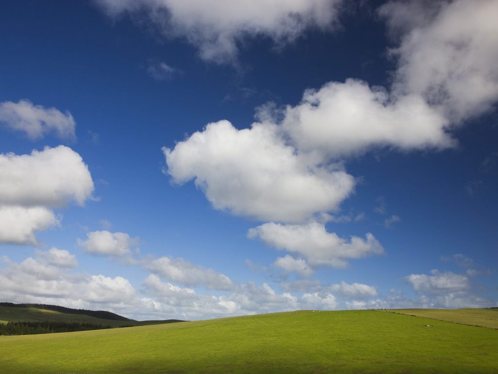 Blue Skies Green Landscape Hd Wallpaper