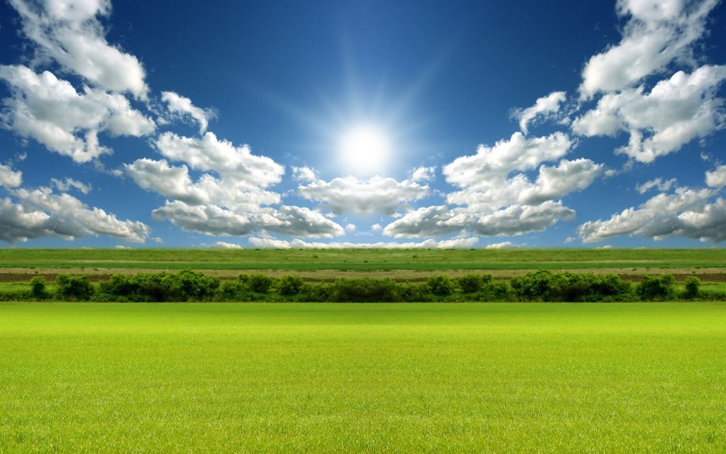 Bright Sun Day Light Nature Fhd Wallpaper