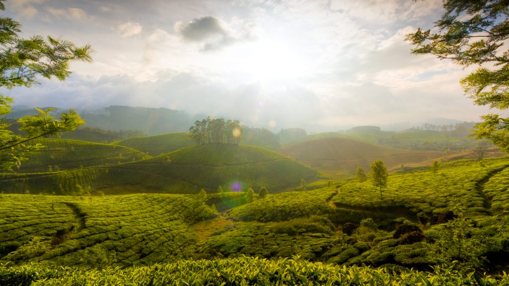 Chilling Munnar Fhd India Scenery Wallpaper