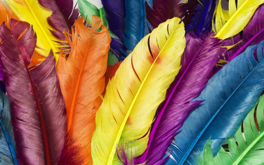 Cute Multicolor Feathers Fhd Wallpaper
