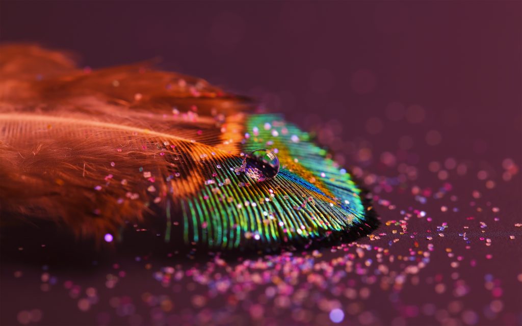 Eye Catching Fhd Drops Feather Wallpaper