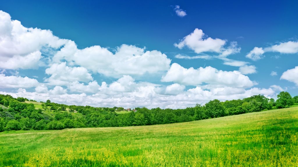 Greenish Nature Blue Sky Fhd Wallpaper