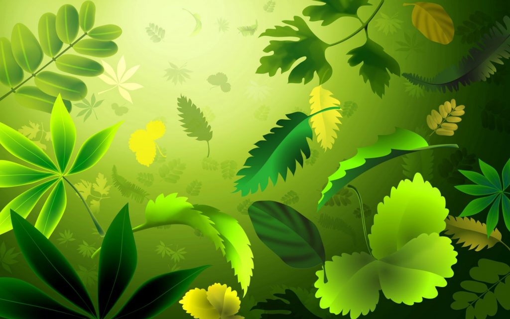Multi Green Leaves Hd Wallpaper