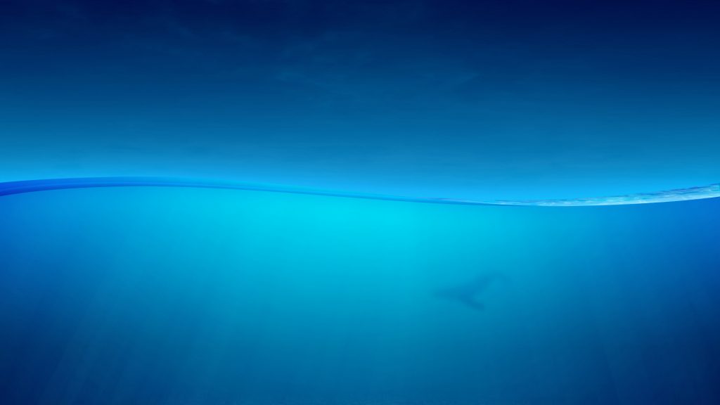 Ocean Fhd Bluish Wallpaper