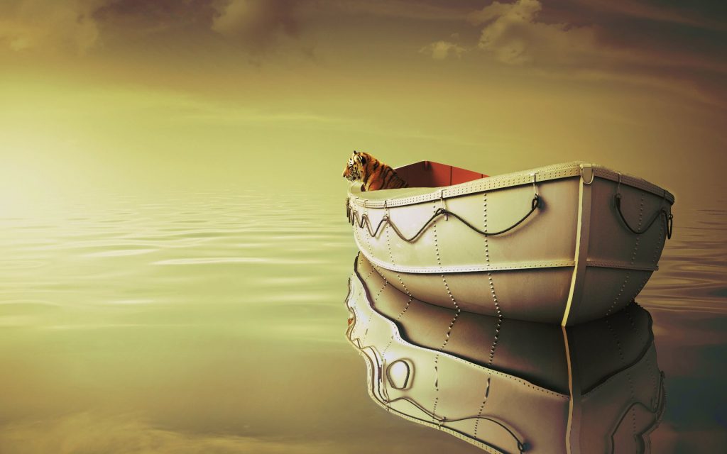 Tiger On Boat Calm Fhd Wallpaper