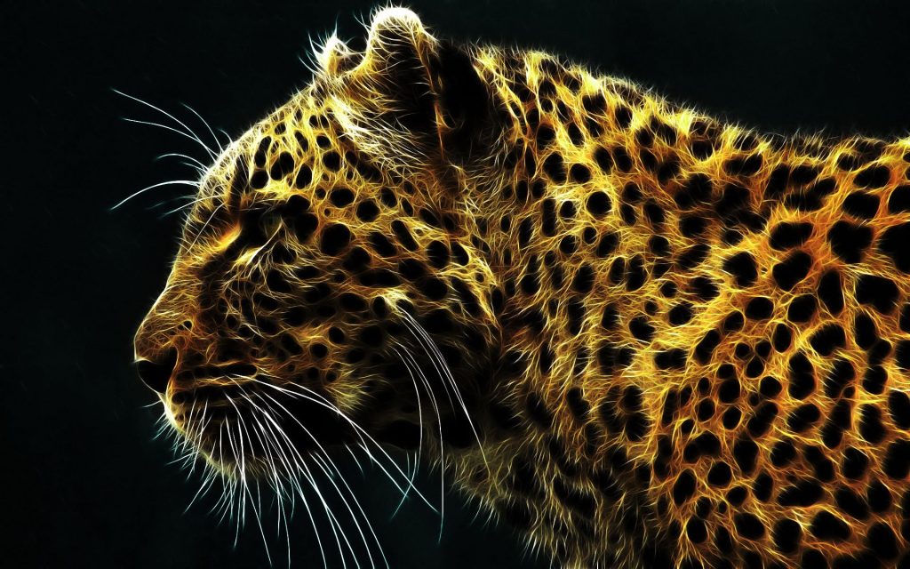 Amazing Leopard Graphics Fhd Wallpaper