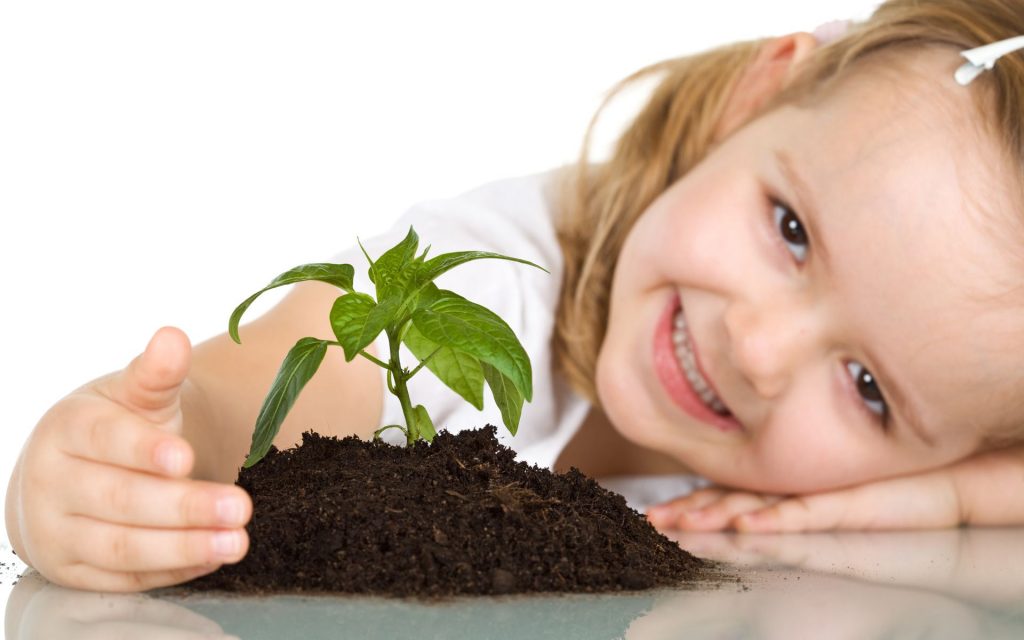 Baby Girl Plant Small Tree Fhd Wallpaper