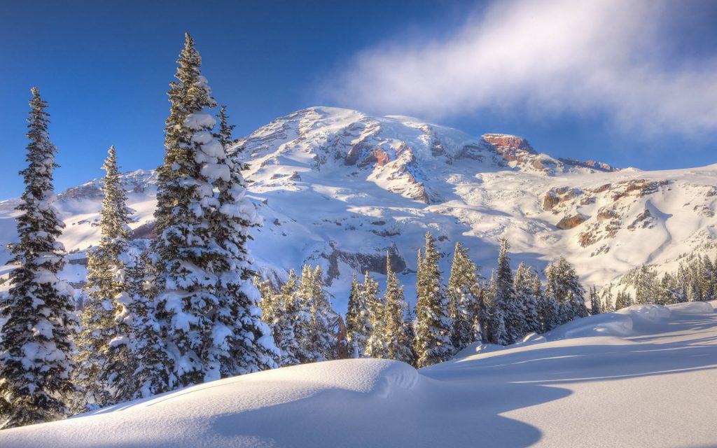 Beautiful View Of Winter Time In Washington