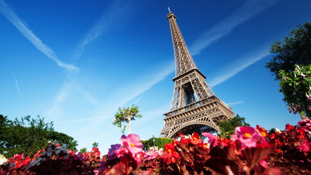 Blossoms On Eiffel Tower Paris France 4k Uhd Wallpaper