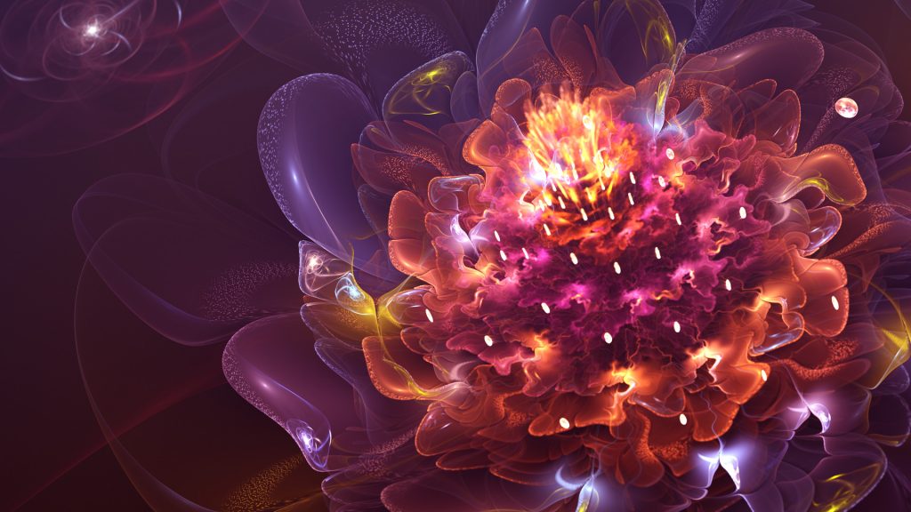 Colorful Abstract Flower Fhd Wallpapers