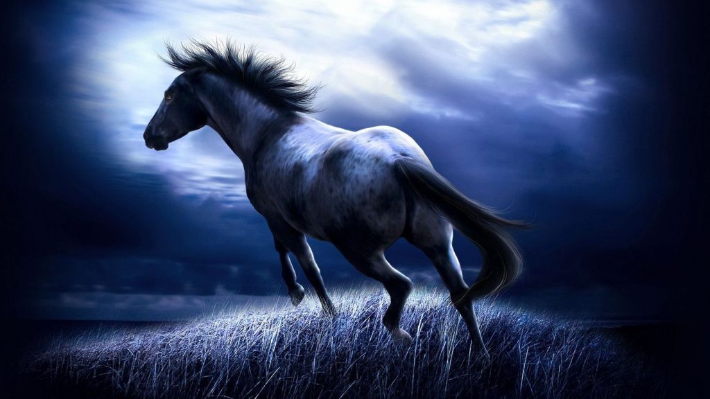 Energetic Horse At Dark Night Hd Wallpaper