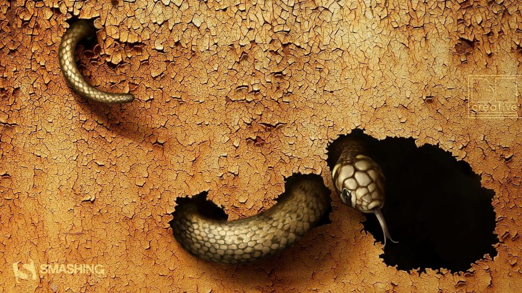 Frightening Dangerous Snake Fhd Wallpaper