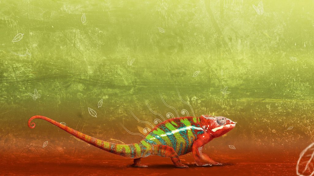 Multi Colour Graphic Chameleon Fhd Wallpaper