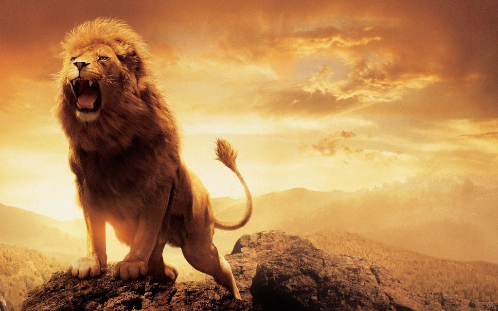 Sovereign Narnia Lion Aslan Attrative Fhd Wallpaper