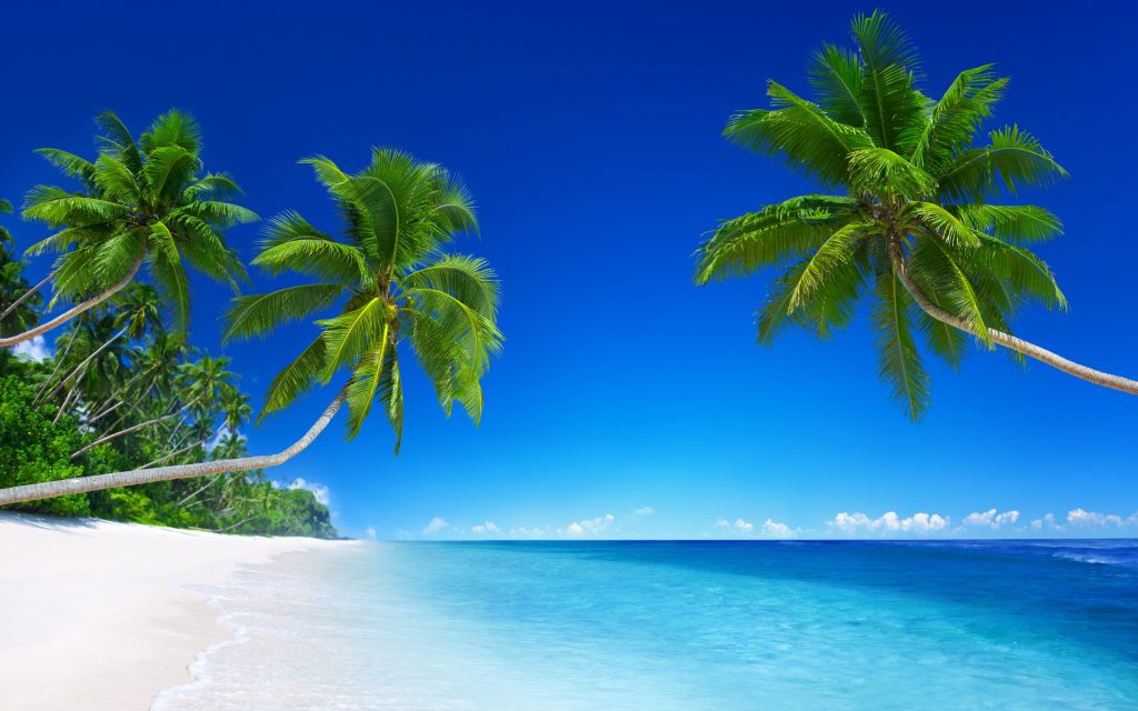 Tropical Beach Paradise Uhd 5k Wallpaper