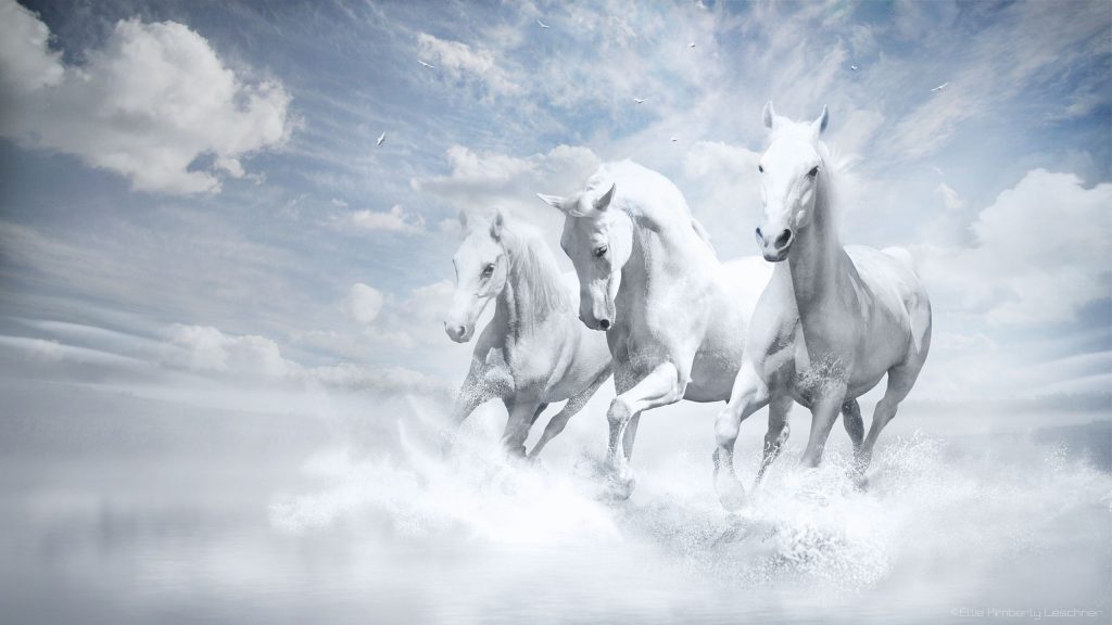 White Horses Flies Through The Air Fhd Wallpaper
