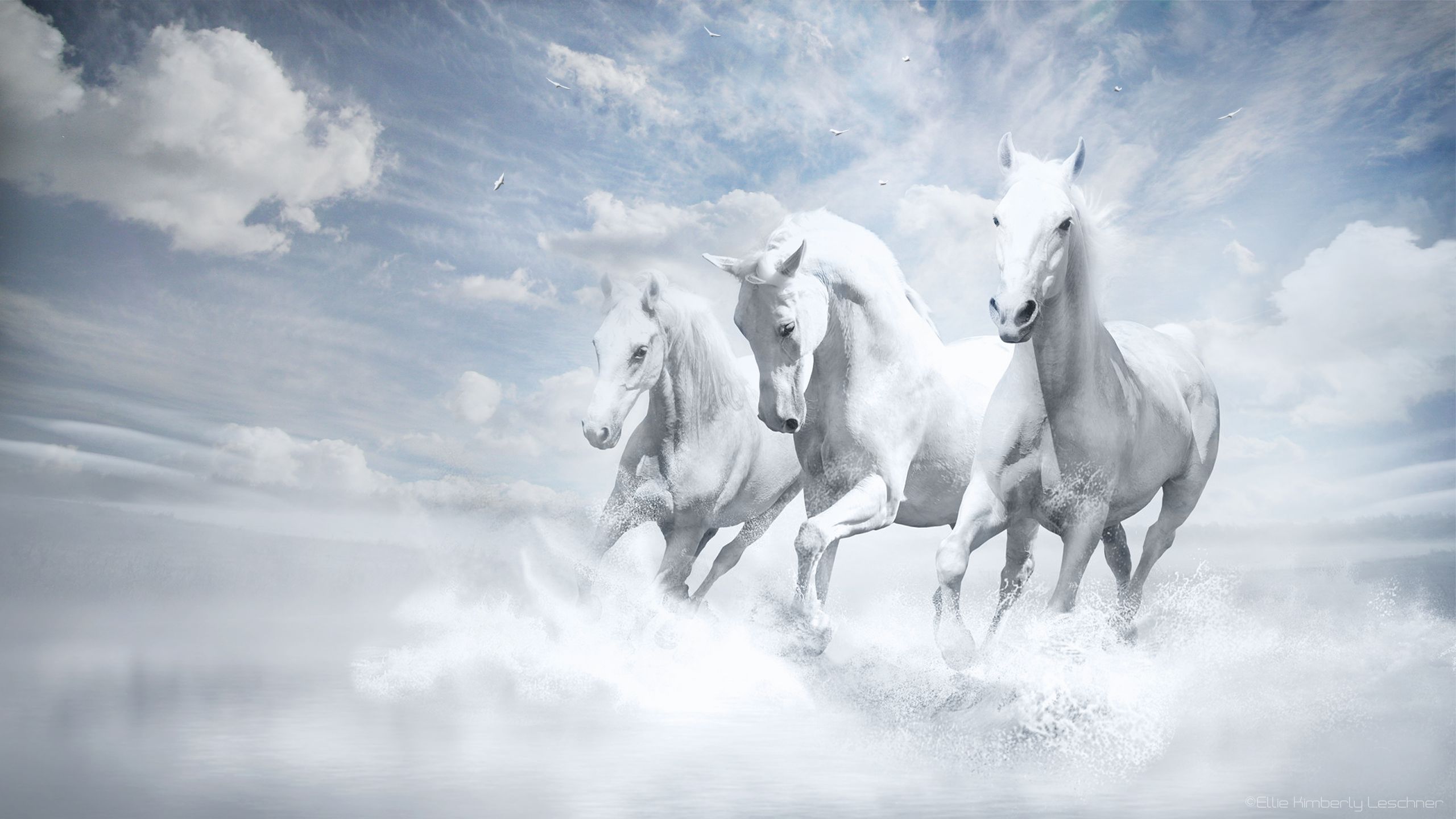 white flying horse wallpaper hd