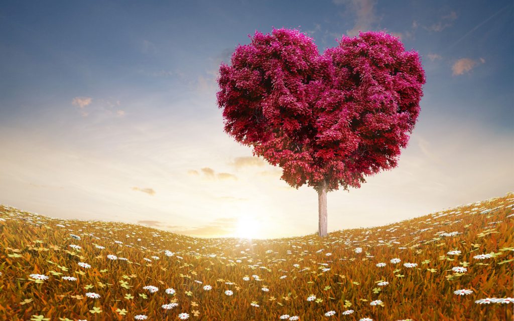 Artistic Heart Tree Fhd Love Wallpaper