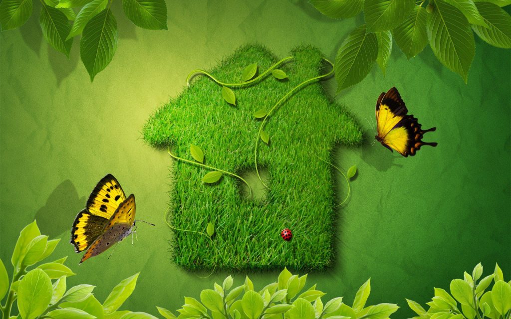 Creative Green House With Butterflies Fhd Wallpaper