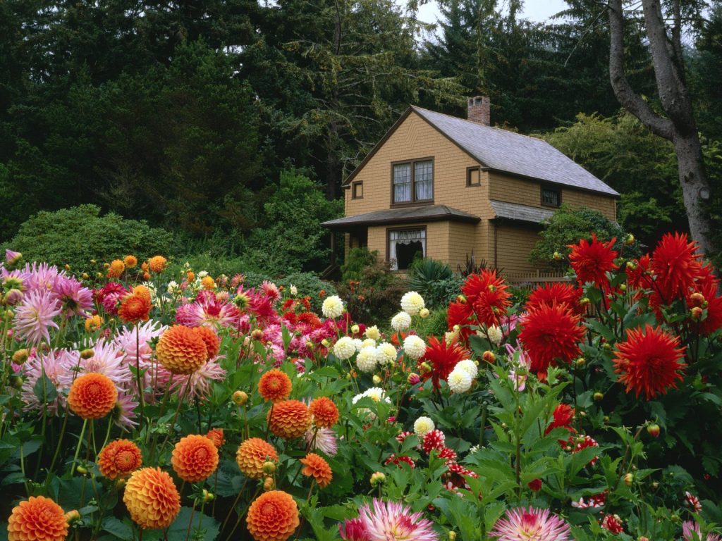 Garden House Oregon Blossoms Hd Wallpaper