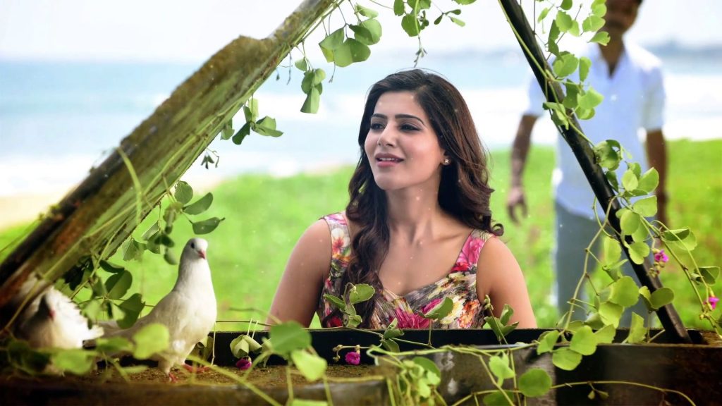 Looking Graceful Samantha In Theri Fhd Movie Wallpaper
