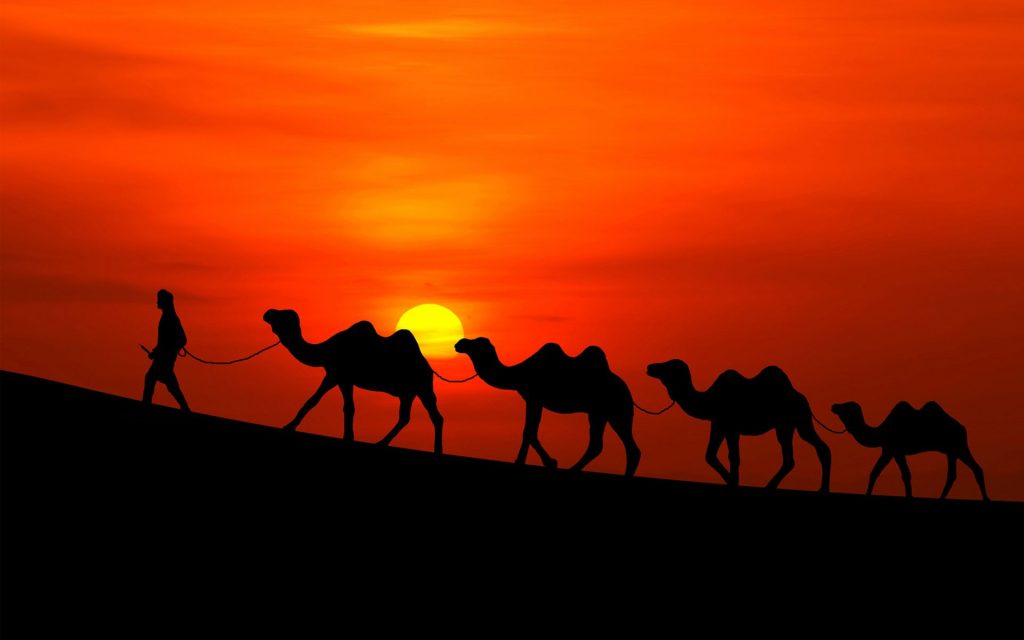 Nice Arabian Sunset Camels Fhd Wallpaper