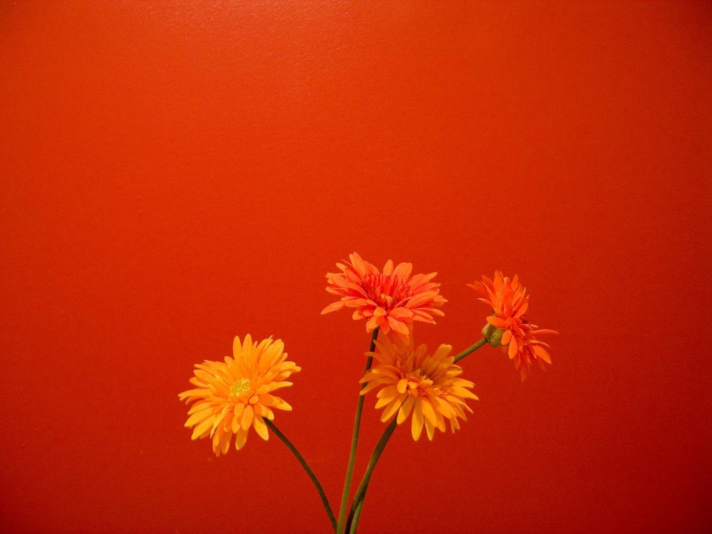 Orange Flowers Arrangement Hd Wallpaper