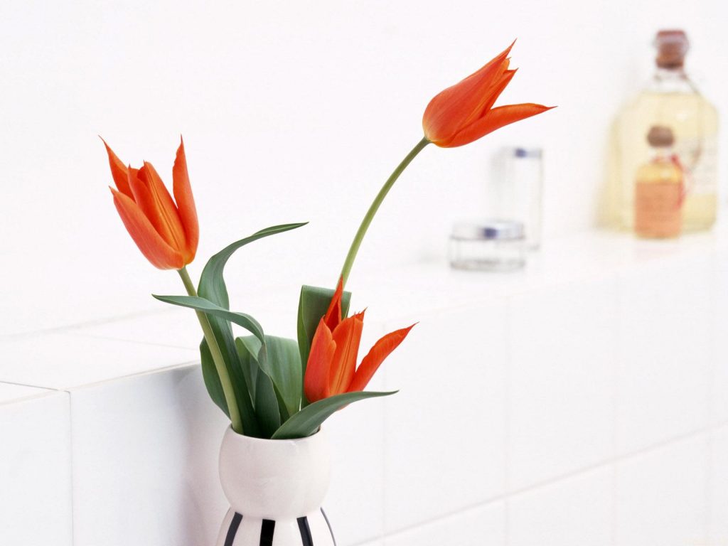 Orange Flowers Vase Hd Wallpaper