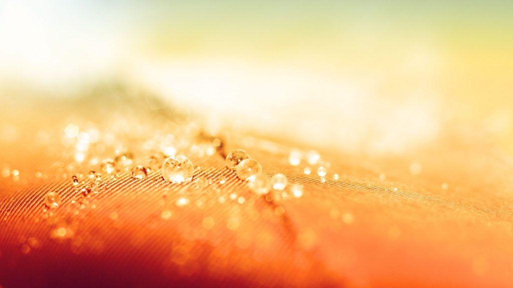 Orange Water Resistant Fhd Wallpaper