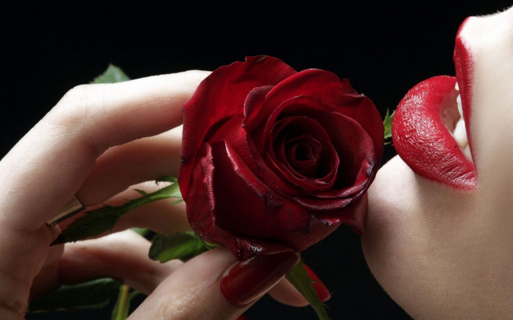 Red Rose Red Lips Fhd Wallpaper