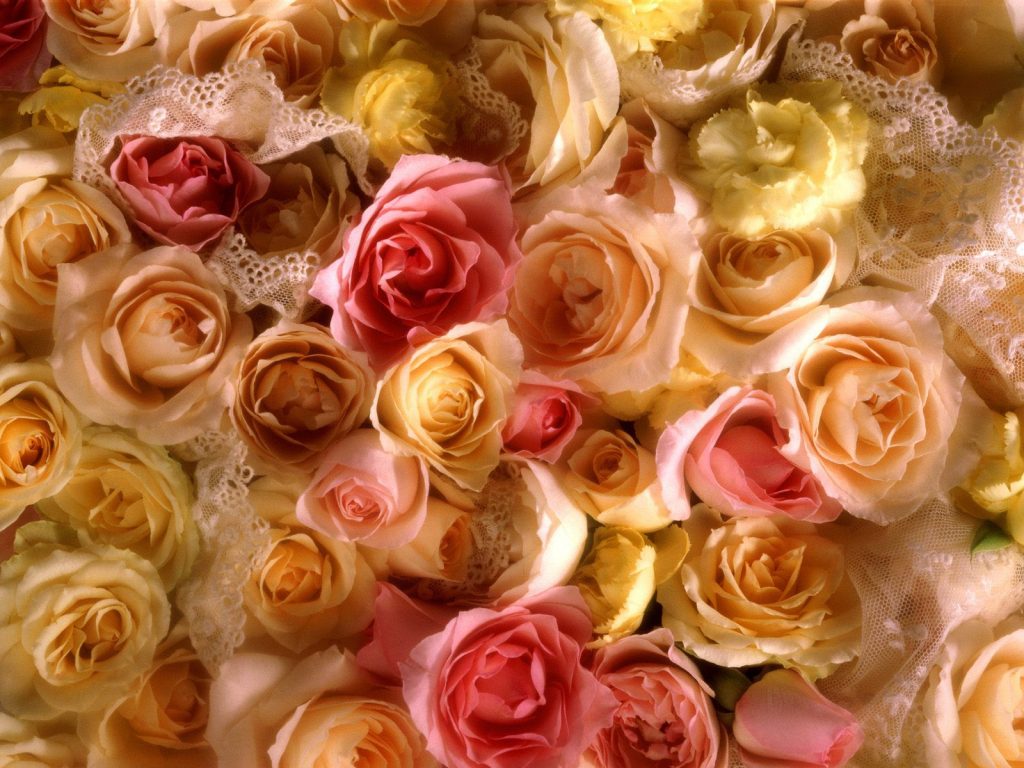 Rose Bridal Bouquet Hd Wallpaper
