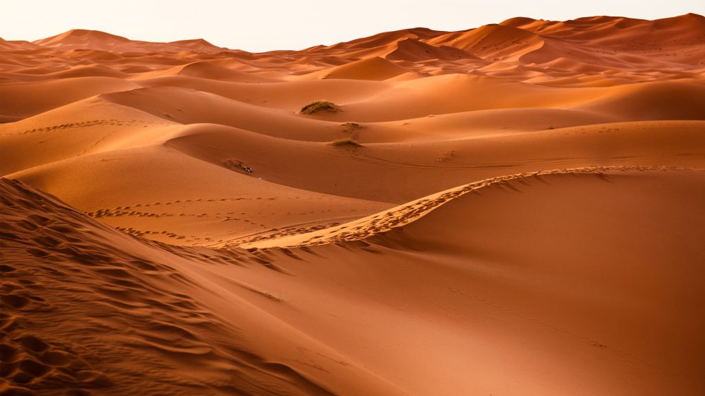 Silky Golden Desert Sand 4k Uhd Wallpapaer