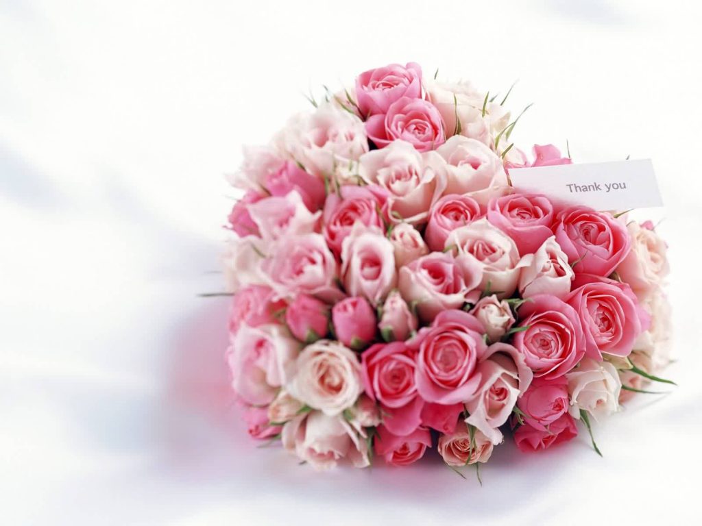 Thank You For Gift Pink Rose Hd Heart Wallpaper