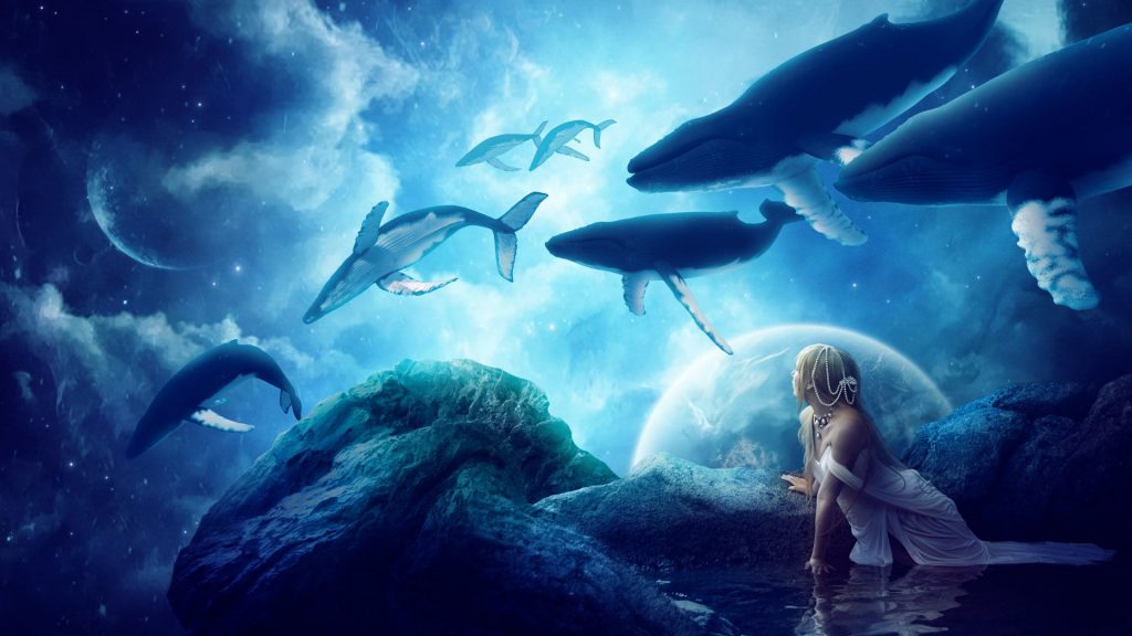 Whales Dream Under Water Creative Fhd Wallpaper